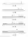 Fig. 09 - Living body sensor for obtaining information of a living body