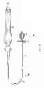 Fig. 02 - Catheter with multiple electrode assemblies for use near tubular regions of the heart