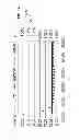 Fig. 12 - ESTIMATING THE TOTAL SALES OVER STREAMING BIDS
