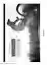 Fig. 08 - INTERACTIVE ADVERTISING