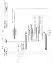 Fig. 08 - RETAIL PRODUCT TRACKING SYSTEM, METHOD, AND APPARATUS