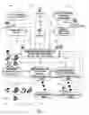 Fig. 02 - MULTI-TIER TRANSACTION PROCESSING METHOD AND PAYMENT SYSTEM IN M- AND E-COMMERCE