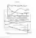 Fig. 02 - PROPERTY DEVELOPMENT HEDGE STRUCTURE