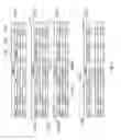 Fig. 06 - Synchronization and reconciliation through identification