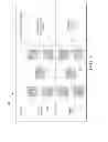Fig. 04 - Methods and systems for ranking images using semantic and aesthetic models
