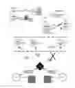 Fig. 19 - MEASURING PARTICIPATION IN CONTENT PROPAGATION ACROSS A DYNAMIC NETWORK TOPOLOGY