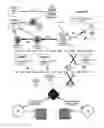 Fig. 20 - MEASURING PARTICIPATION IN CONTENT PROPAGATION ACROSS A DYNAMIC NETWORK TOPOLOGY