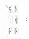 Fig. 07 - INFORMATION PROCESSING SYSTEM AND METHOD FOR CONTROLLING SAME