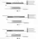 Fig. 08 - Wear leveling for erasable memories