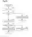 Fig. 52 - Storage management method and storage system in virtual volume having data arranged astride storage devices