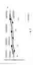 Fig. 09 - Traversing between nodes