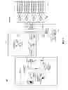 Fig. 04 - INSERTING ADVERTISING CONTENT