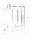 Fig. 07 - Methods and apparatuses for protecting positioning related information