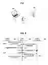 Fig. 02 - APPARATUS FOR VERIFYING WEB SITE AND METHOD THEREFOR