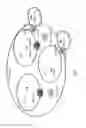 Fig. 05 - Method and Apparatus for Dynamic Tunneling