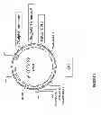 Fig. 02 - Soybean seed and oil compositions and methods of making same