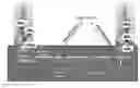 Fig. 01 - ENGINEERING PLANTS FOR EFFICIENT UPTAKE AND UTILIZATION OF UREA TO IMPROVE CROP PRODUCTION