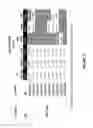 Fig. 12 - ENGINEERING PLANTS FOR EFFICIENT UPTAKE AND UTILIZATION OF UREA TO IMPROVE CROP PRODUCTION