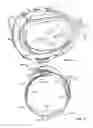 Fig. 10 - Headgear accessory attachment apparatus
