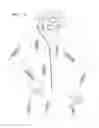 Fig. 07 - BED BUG PROTECTIVE GARMENT