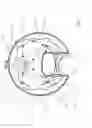 Fig. 15 - Directional fluid inlet