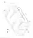 Fig. 04 - Bedding apparatus