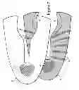 Fig. 09 - Method of manufacturing an article of footwear having a knit upper with a polymer layer