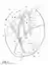 Fig. 07 - Autonomous floor cleaner