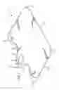 Fig. 02 - BABY TOWEL WRAP