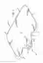 Fig. 03 - BABY TOWEL WRAP