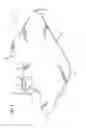 Fig. 04 - BABY TOWEL WRAP