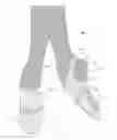 Fig. 01 - MODERN DANCE SHOE