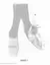Fig. 02 - MODERN DANCE SHOE