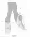 Fig. 05 - MODERN DANCE SHOE