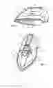Fig. 02 - Clothes Iron Comprising a Device for Spraying Droplets of Liquid Outside the Surface Covered by the Sole Plate