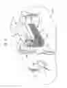 Fig. 02 - Animal Trap