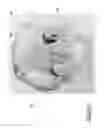 Fig. 07 - Insect Killing Apparatus and Method of Construction