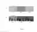 Fig. 02 - Herbicidal compositions and methods