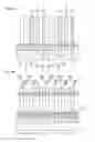 Fig. 15 - Assembly method and assembly equipment for power transmission chain