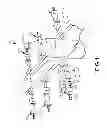 Fig. 02 - POSITION ADJUSTMENT AND POSITION LOCKING OF A FLUID OPERATED ACTUATOR
