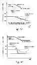 Fig. 10 - Exhaust circulation apparatus for internal combustion engine
