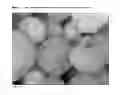 Fig. 03 - FERTILIZER COMPOSITIONS METHODS OF MAKING AND USING SAME