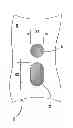 Fig. 01 - Lamination cylinder