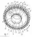 Fig. 04 - Gearwheel Arrangement Comprising a Spring Element