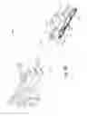 Fig. 07 - Tufting machine drive system