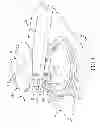 Fig. 05 - Sewing direction control apparatus for sewing machine