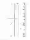 Fig. 02 - Shallow water anchor