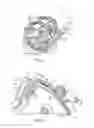 Fig. 02 - Intake manifold assembly