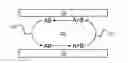 Fig. 01 - Epicatalytic thermal diode