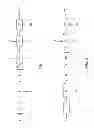 Fig. 02 - PROCESS FOR PRETREATMENT OF LIGNOCELLULOSIC BIOMASS WITH A HYDRATED INORGANIC SALT COMPRISING A PRELIMINARY ACID HYDROLYSIS STAGE